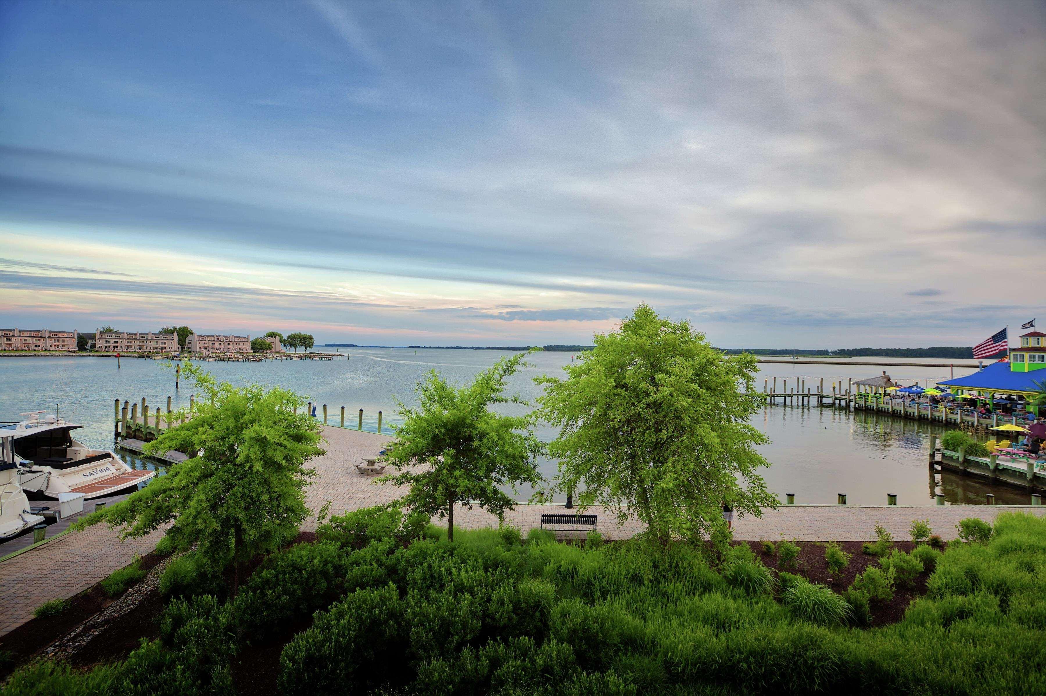 Hilton Garden Inn Kent Island Marina Grasonville Exteriér fotografie
